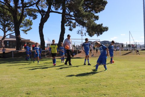 CJF CUP 2026