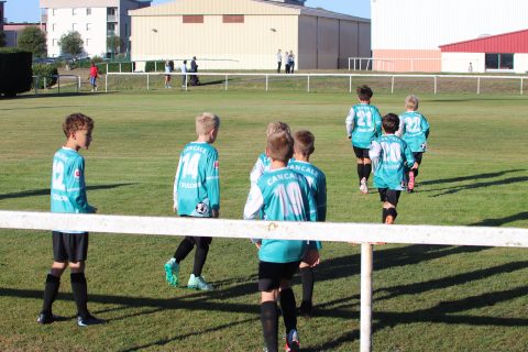 CJF CUP 2026