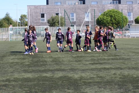 CJF CUP 2026