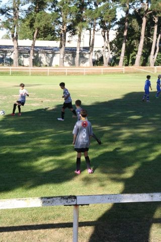 CJF CUP 2026