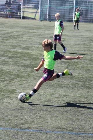 CJF CUP 2026