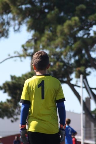 CJF CUP 2026