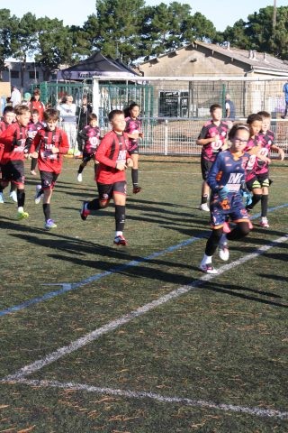 CJF CUP 2026