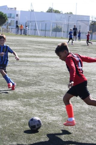 CJF CUP 2026