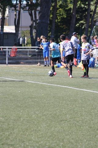 CJF CUP 2026