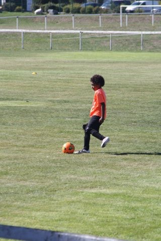 CJF CUP 2026