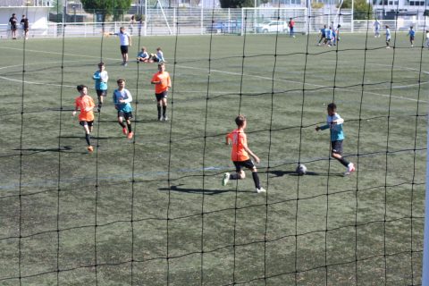 CJF CUP 2026