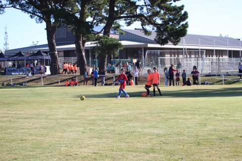 CJF CUP 2026