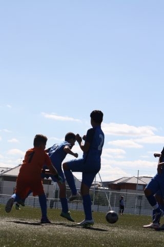 CJF CUP 2026