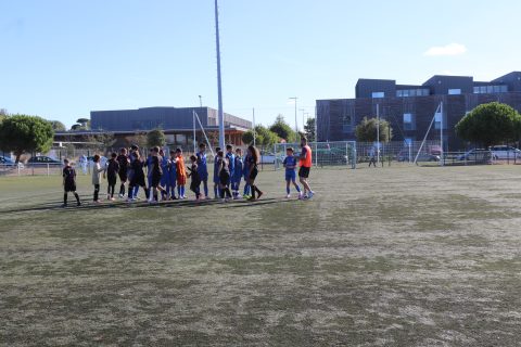 CJF CUP 2026