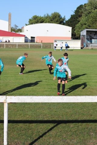 CJF CUP 2026