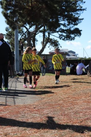 CJF CUP 2026