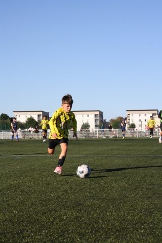 CJF CUP 2026