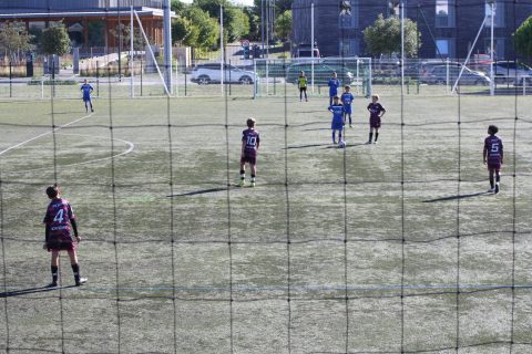 CJF CUP 2026