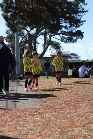 CJF CUP 2026