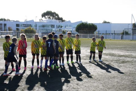 CJF CUP 2026