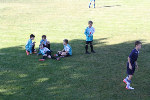 CJF CUP 2026