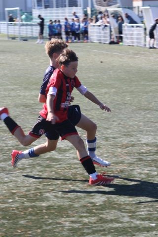 CJF CUP 2026